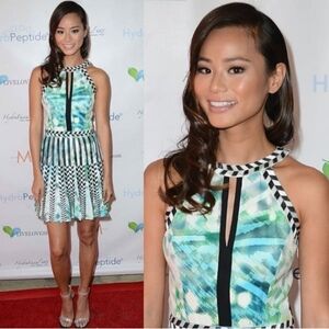 Parker Selita Silk Pleated Mini Dress With Cutouts & Embroidery Details Size S